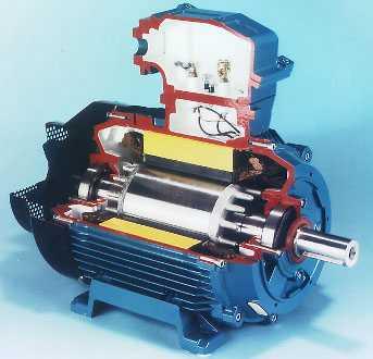 AMotor.jpg